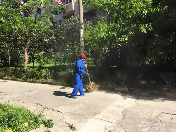 小区保洁托管2.webp.jpg
