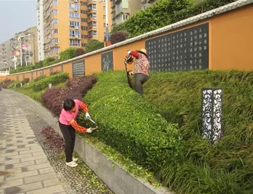 绿化修剪.webp.jpg